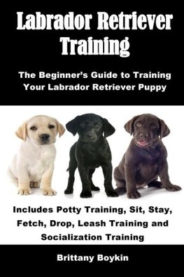 Labrador Retriever Training