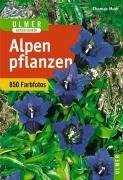 Alpenpflanzen