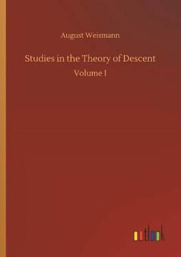 Studies in the Theory of Descent