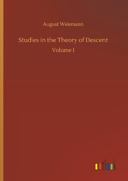 Studies in the Theory of Descent