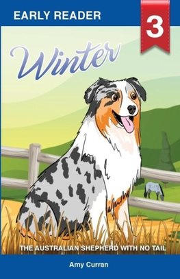 Winter the Australian Shepherd with no tail