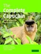 The Complete Capuchin