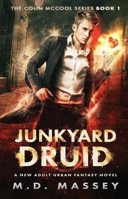 JUNKYARD DRUID