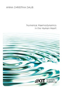 Numerical Haemodynamics in the Human Heart