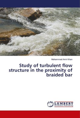 Study of turbulent flow structure in the proximity of braided bar