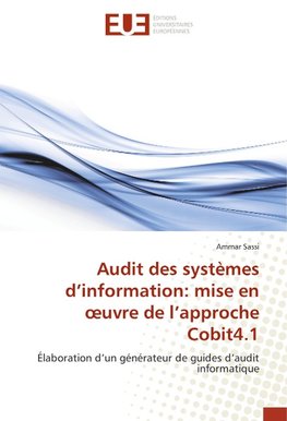 Audit des systèmes d'information: mise en oeuvre de l'approche Cobit4.1