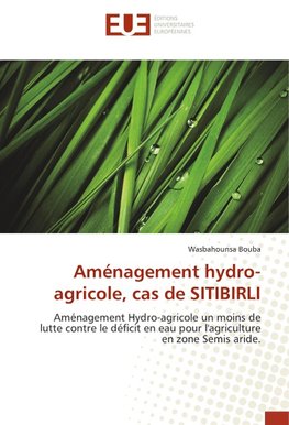 Aménagement hydro-agricole, cas de SITIBIRLI