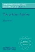 The Q-Schur Algebra