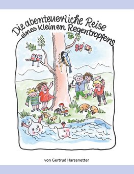 Die abenteuerliche Reise eines kleinen Regentropfens