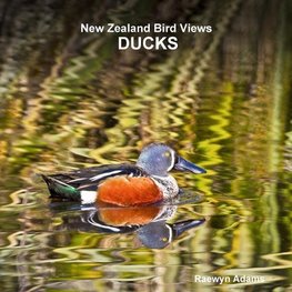 New Zealand bird views