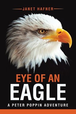 Eye of an Eagle