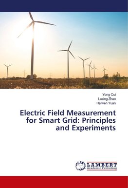 Electric Field Measurement for Smart Grid: Principles and Experiments