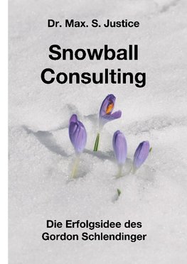 Snowball Consulting