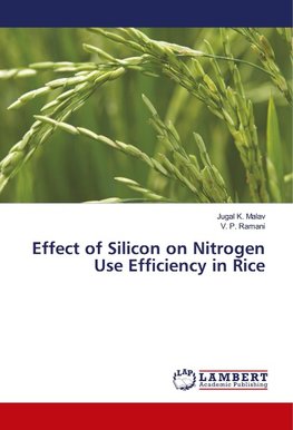 Effect of Silicon on Nitrogen Use Efficiency in Rice