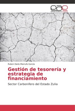 Gestión de tesorería y estrategia de financiamiento