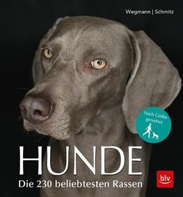 Hunde