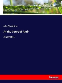 At the Court of Amîr