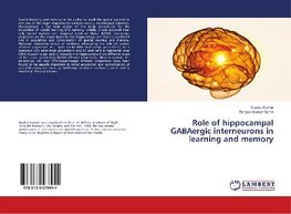 Role of hippocampal GABAergic interneurons in learning and memory