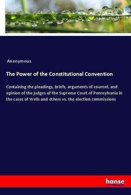 The Power of the Constitutional Convention