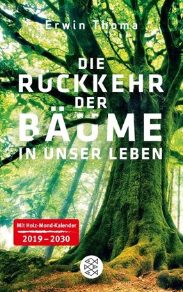 Die Rückkehr der Bäume in unser Leben