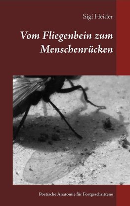 Vom Fliegenbein zum Menschenrücken