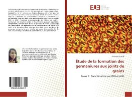 Étude de la formation des germaniures aux joints de grains