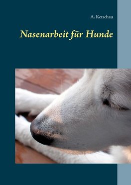 Nasenarbeit für Hunde