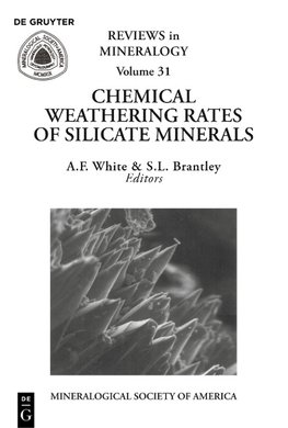 Chemical Weathering Rates of Silicate Minerals