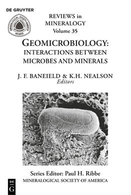 Geomicrobiology