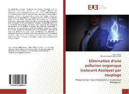 Elimination d'une pollution organique (colorant Azoïque) par couplage