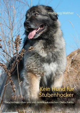 Kein Hund für Stubenhocker