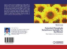 Potential Phosphate Solubilizers Suitable for Sunflower