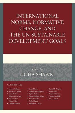 International Norms, Normative Change, and the UN Sustainable Development Goals