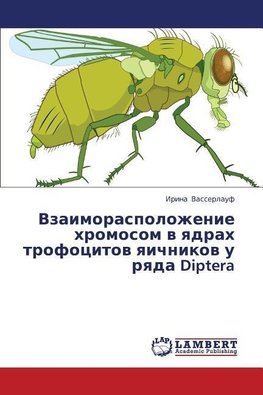 Vzaimoraspolozhenie hromosom v yadrah trofocitov yaichnikov u ryada Diptera