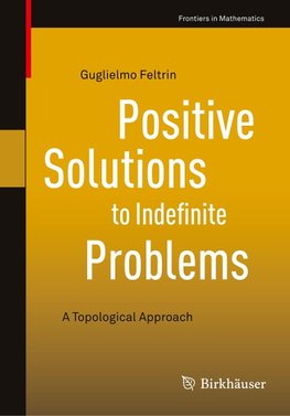 Positive Solutions to Indefinite Problems