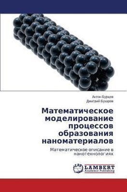 Matematicheskoe modelirovanie processov obrazovaniya nanomaterialov