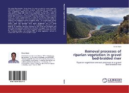 Removal processes of riparian vegetation in gravel bed-braided river