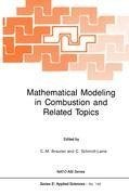 Mathematical Modeling in Combustion and Related Topics