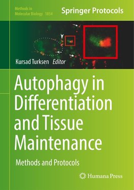 Autophagy in Differentiation and Tissue Maintenance