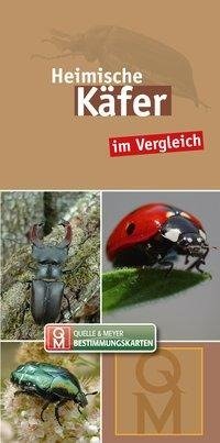 Heimische Käfer