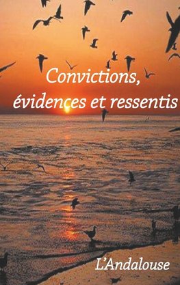 Convictions, évidences et ressentis