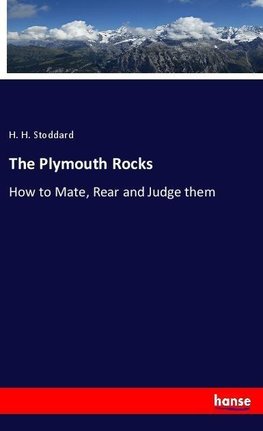 The Plymouth Rocks