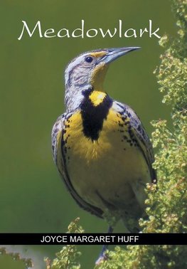 Meadowlark