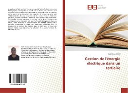 Gestion de l'¿rgie ¿ctrique dans un tertiaire