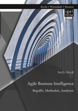 Agile Business Intelligence. Begriffe, Methoden, Analysen