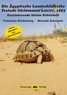 Die Ägyptische Landschildkröte Testudo kleinmanni LORTET, 1883