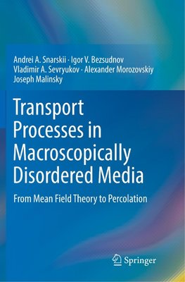 Transport Processes in Macroscopically Disordered Media