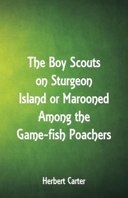 The Boy Scouts on Sturgeon Island