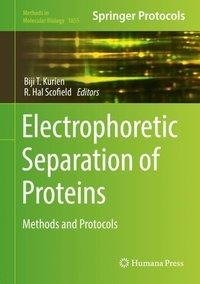 Electrophoretic Separation of Proteins