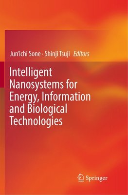 Intelligent Nanosystems for Energy, Information and Biological Technologies